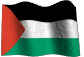 palestina flag